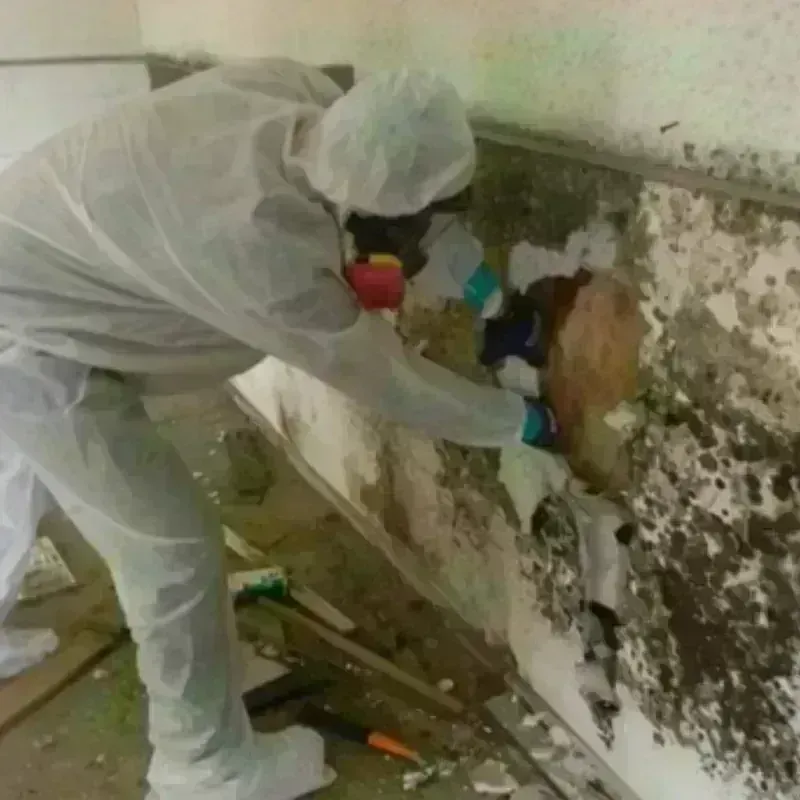 Mold Remediation and Removal in Country Club, CA